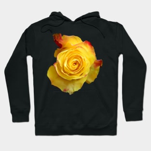 Yellow Rose Hoodie